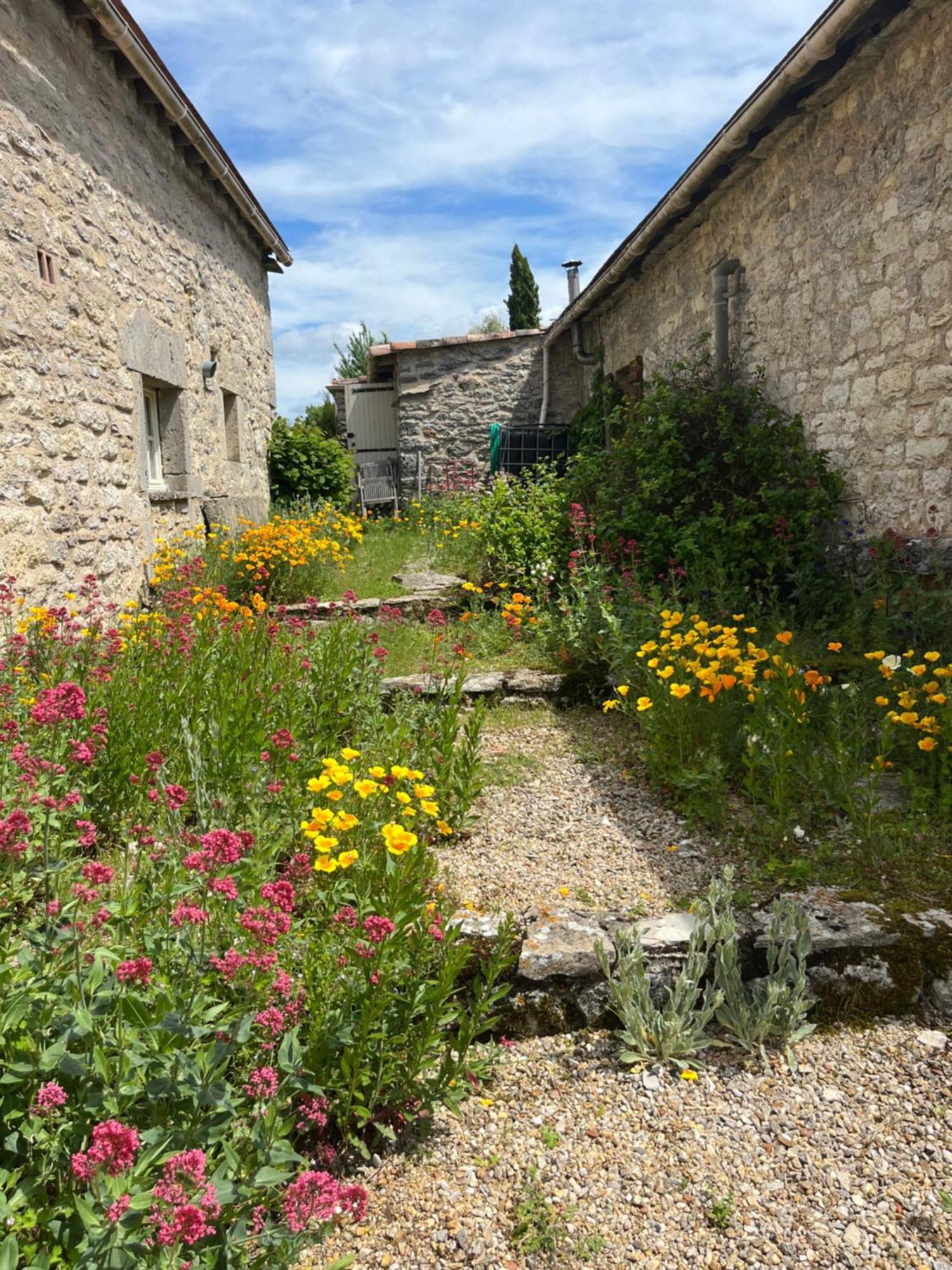 Les Gites Perard Caylus Exteriér fotografie