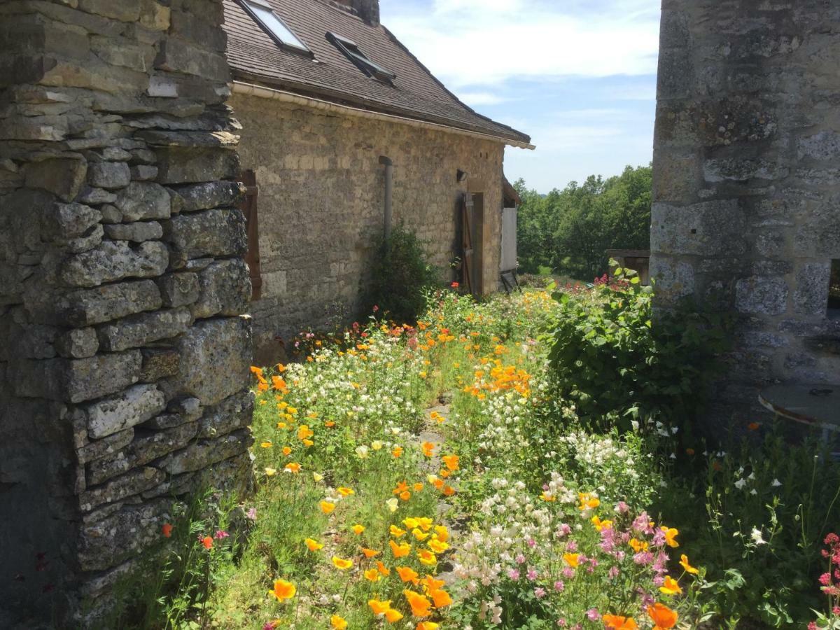 Les Gites Perard Caylus Exteriér fotografie